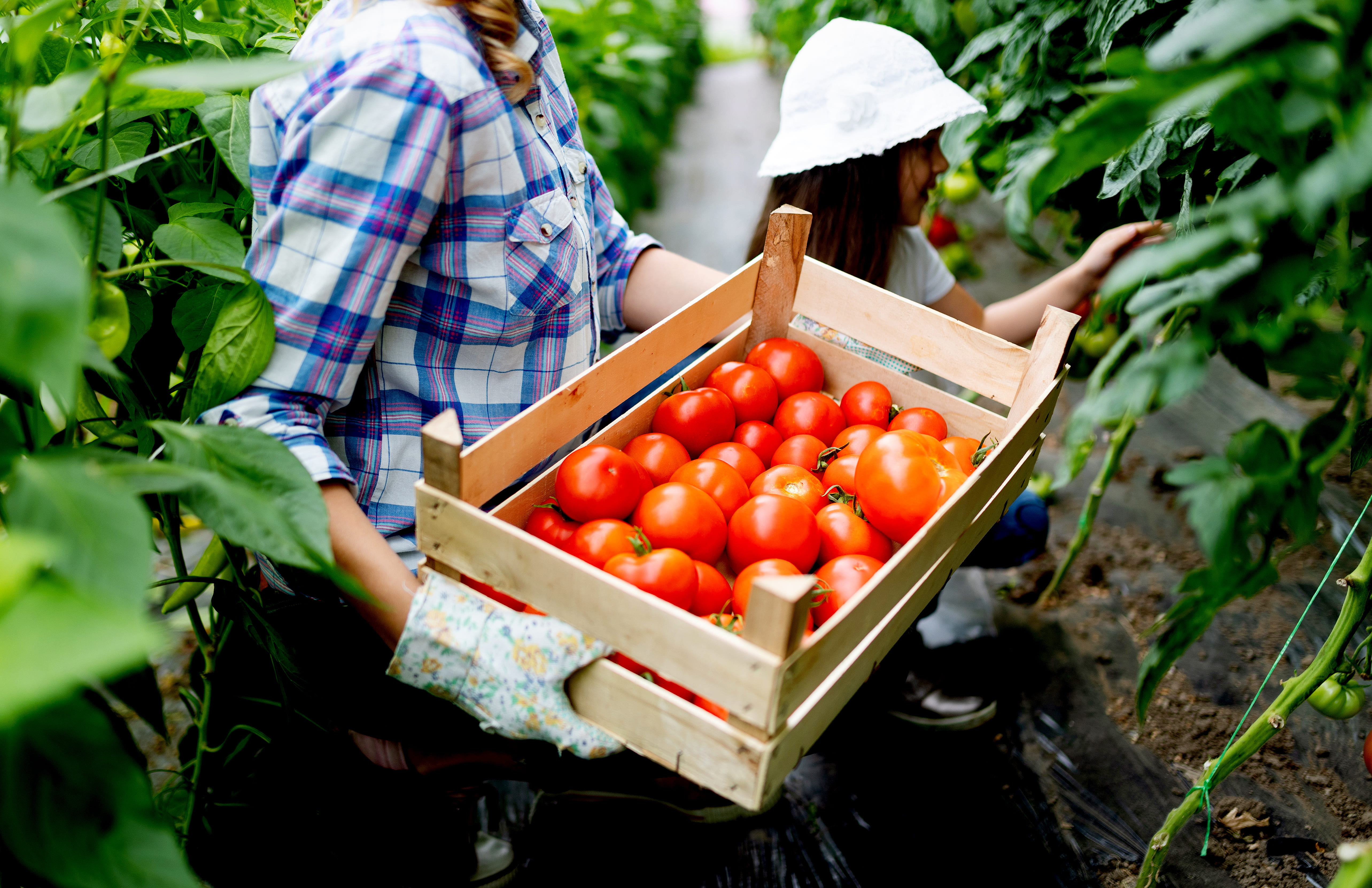 Parceria garante corte de terra para 200 agricultores familiares em municípios do RN